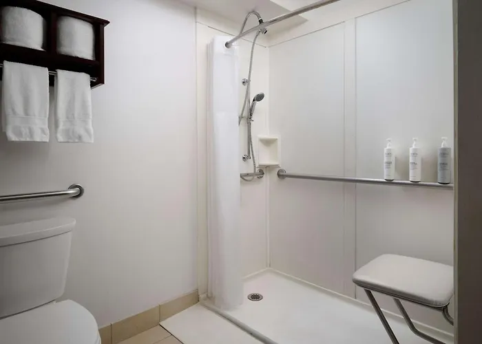 Hotel Hampton Downtown/magnificent Mile 3*