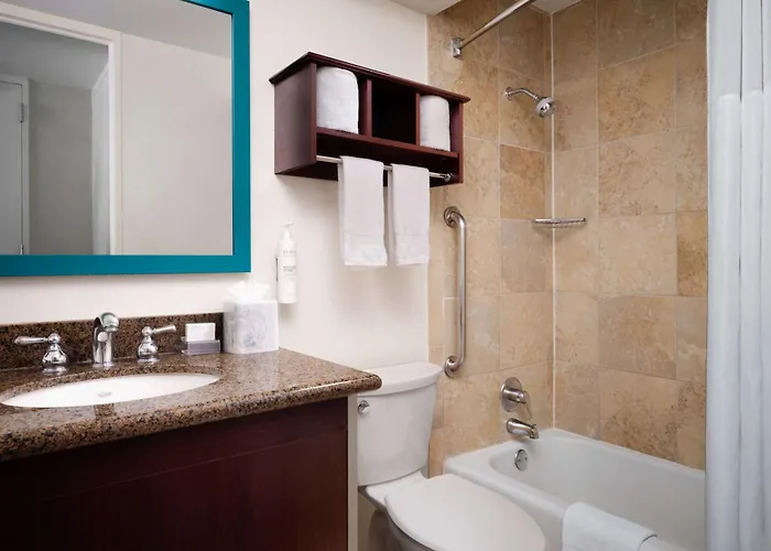 Hampton Downtown/magnificent Mile Hotel Chicago