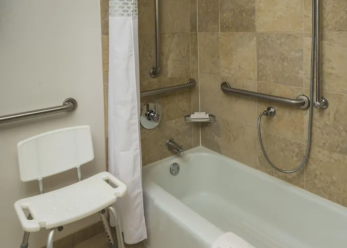 Hotel Hampton Downtown/magnificent Mile 3*