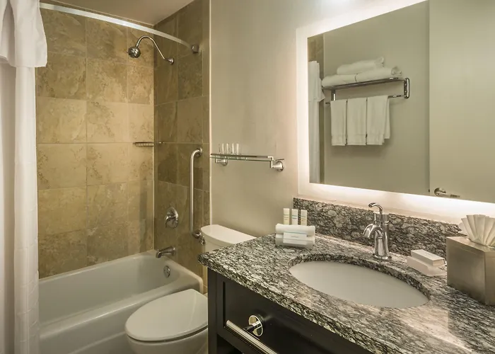 Hampton Downtown/magnificent Mile 3*