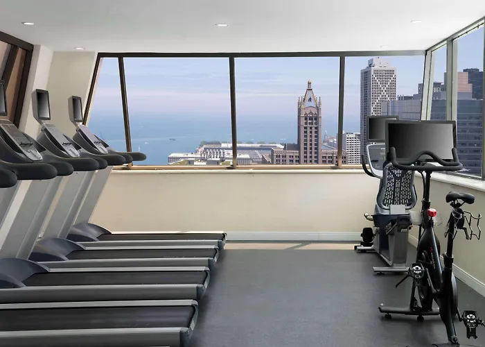 Hotel Hampton Downtown/magnificent Mile 3*