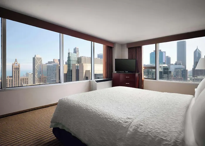 Hampton Downtown/magnificent Mile Hotel Chicago