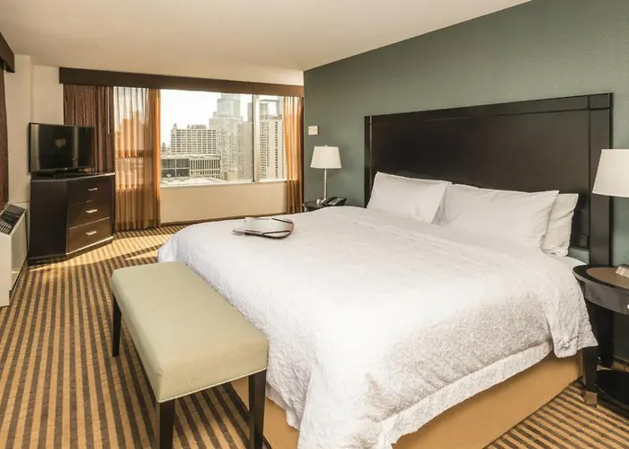 Hotel Hampton Downtown/magnificent Mile 3*